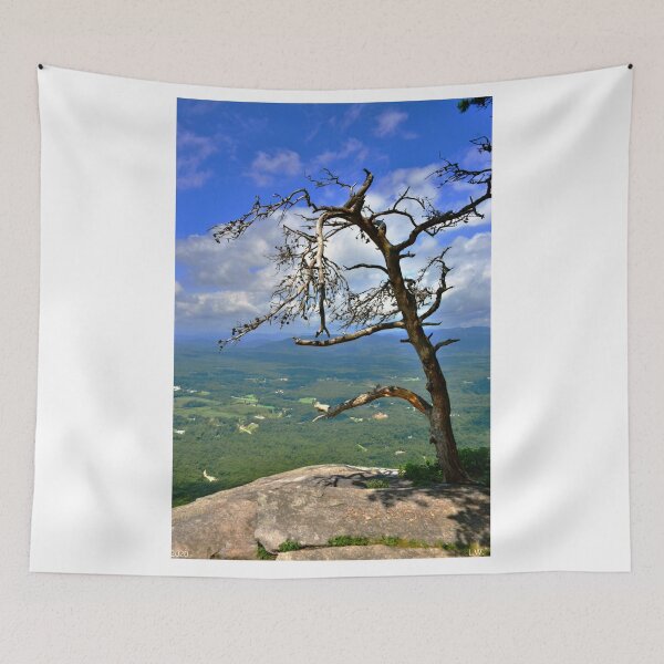 Item preview, A Lone Tree Atop Yonah Mountain Georgia Vertical designed and sold by LisaWootenPhoto.