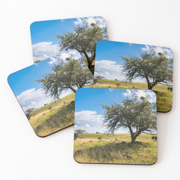 Item preview, Old trees on high grass field with stones designed and sold by raphotography88.