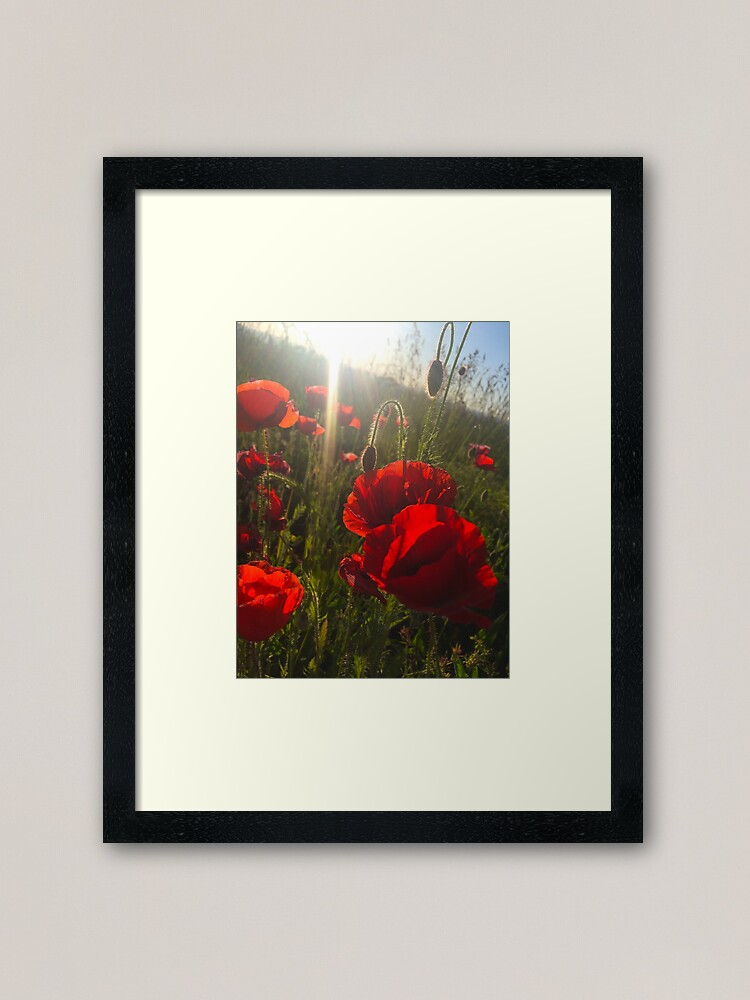 Alternate view of Poppies Framed Art Print