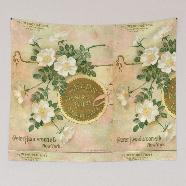 Item preview, The "Memorial" Rose -  Henderson & Co. 1896. designed and sold by killies.