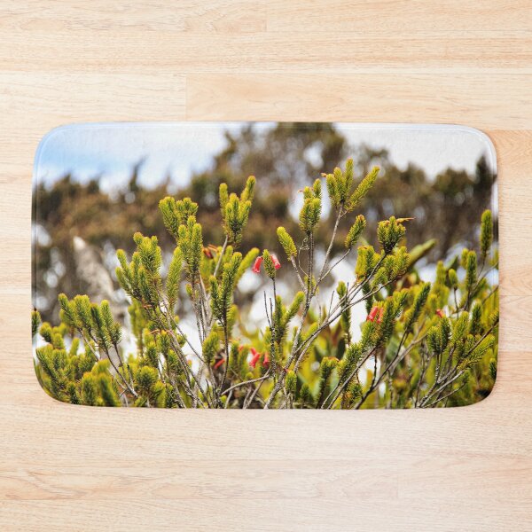 Item preview, "Fragile" designed and sold by Andreas Koerner.