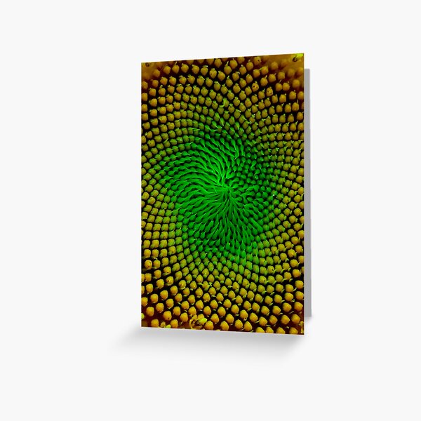 Eye of the Universe Greeting Card