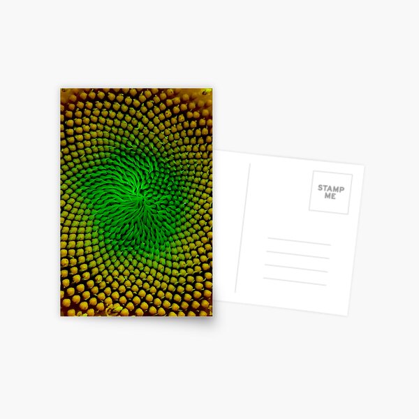Eye of the Universe Postcard