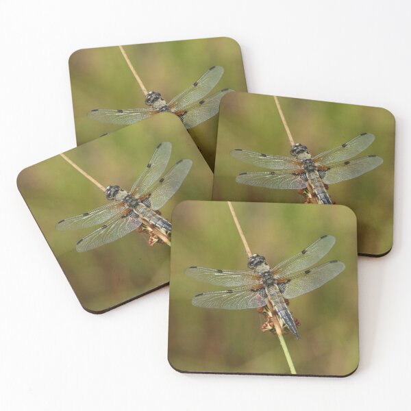 Item preview, Quadrangle designed and sold by NW-Photo-Art.