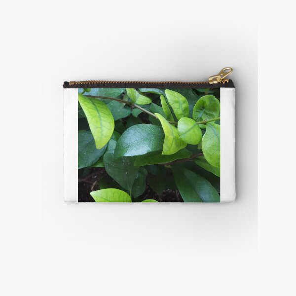 Item preview, Leaves  designed and sold by -YASQUEEN-.