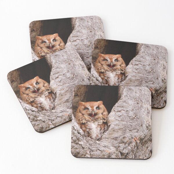 Item preview, " Laughing" Eastern Screech Owl designed and sold by BRENDA DOHERTY.