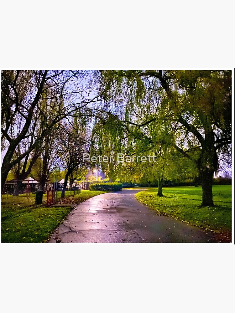 Hylands Park Path by hartrockets