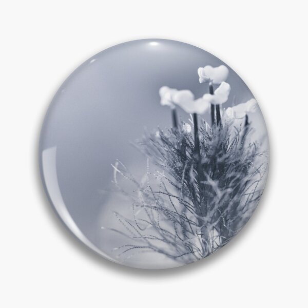 Item preview, Fascination designed and sold by Caitlyn Grasso.