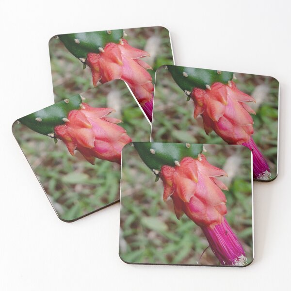 Item preview, cactus flower designed and sold by aureofrancisco.