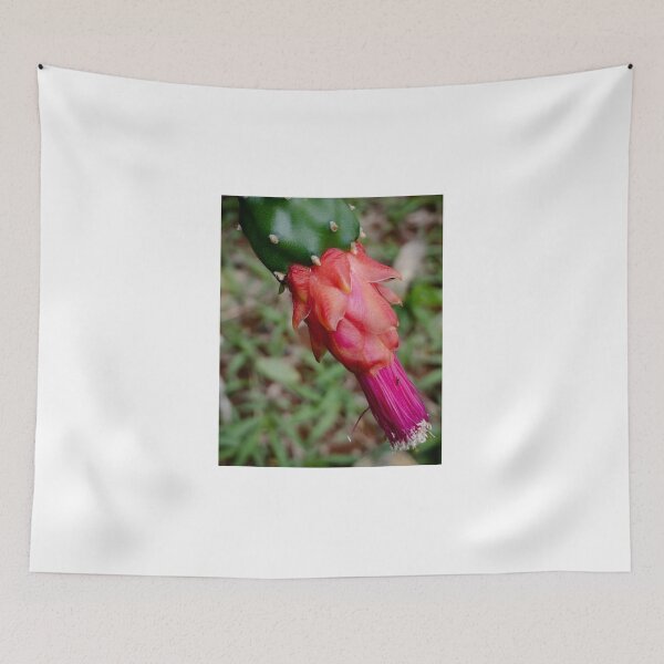 Item preview, cactus flower designed and sold by aureofrancisco.