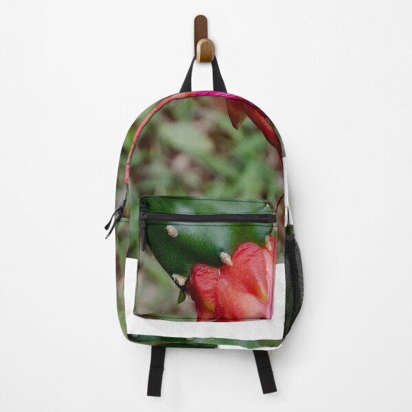 Item preview, cactus flower designed and sold by aureofrancisco.