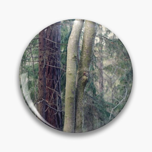 Item preview, Aspen twins at fall designed and sold by Jouko Lehto Photography.