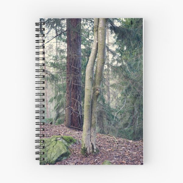 Item preview, Aspen twins at fall designed and sold by Jouko Lehto Photography.