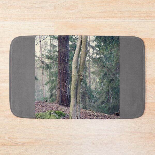 Item preview, Aspen twins at fall designed and sold by Jouko Lehto Photography.