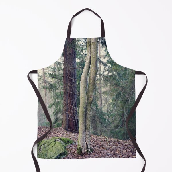 Item preview, Aspen twins at fall designed and sold by Jouko Lehto Photography.
