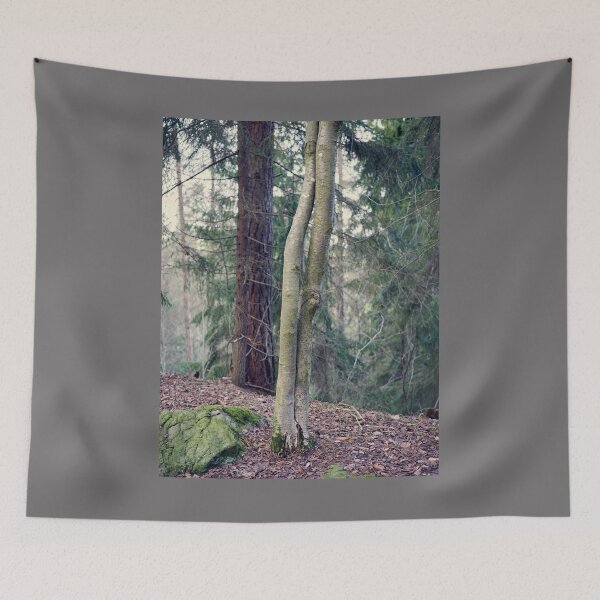 Item preview, Aspen twins at fall designed and sold by Jouko Lehto Photography.