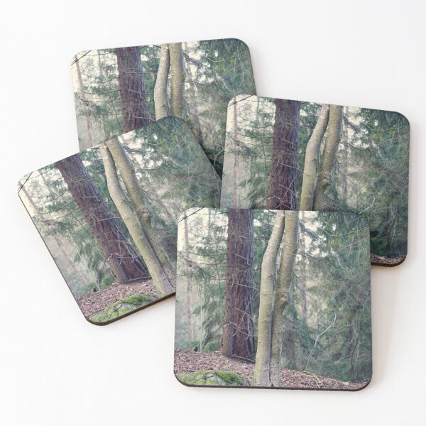 Item preview, Aspen twins at fall designed and sold by Jouko Lehto Photography.