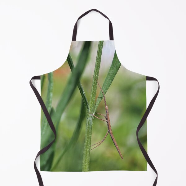 Item preview, Phasme Invisible ! mais visible pour profiter du soleil ! - Invisible phas ! but visible to enjoy the sun ! Okaio Créations  Olavia&Olao 2019 designed and sold by o.okaïo.