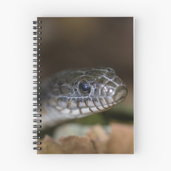 Item preview, A Snake Eye's View designed and sold by Michel (Mike) Soucy.