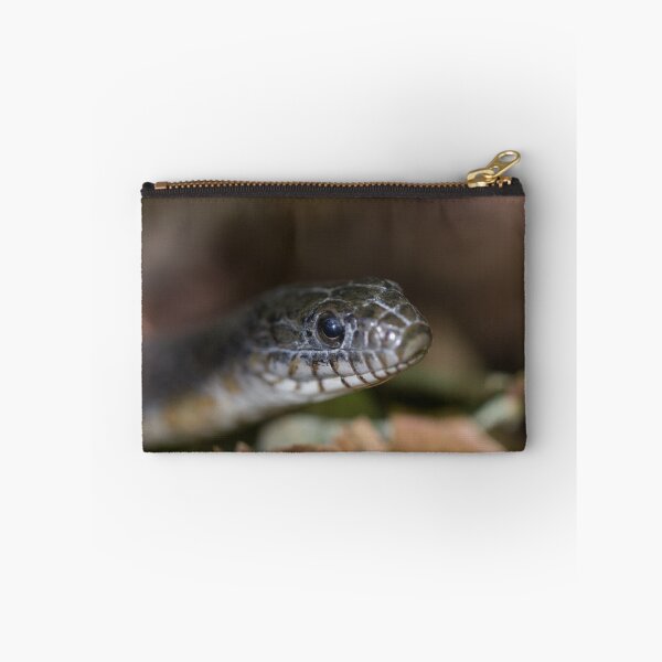Item preview, A Snake Eye's View designed and sold by Michel (Mike) Soucy.