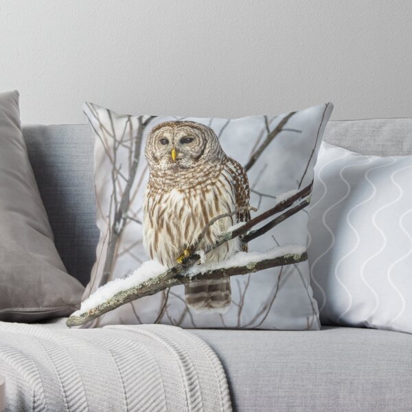 Barred Owl Throw Pillow