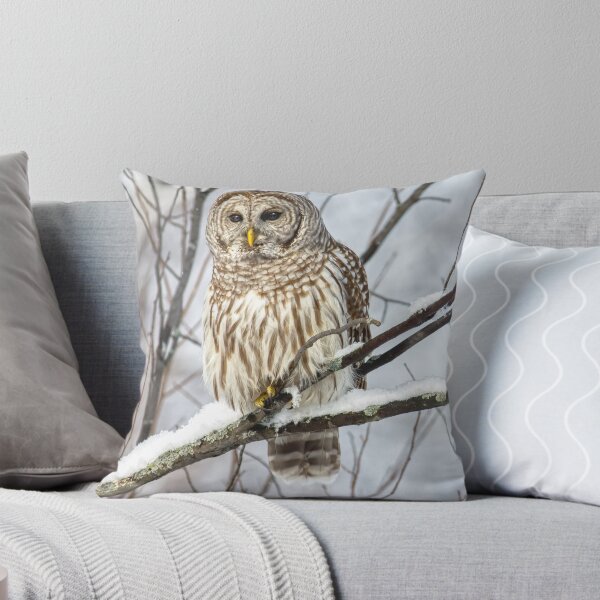 Item preview, Barred Owl  designed and sold by Michel (Mike) Soucy.