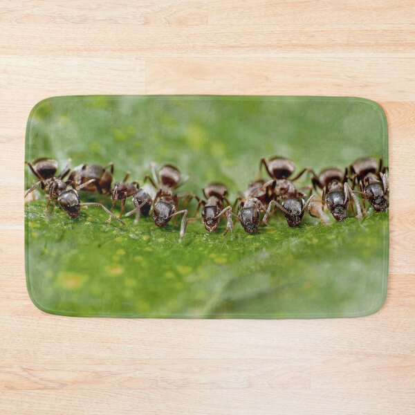 Item preview, Foule de Fourmis à l'Abreuvoir - Crowd of ants at the trough par Okaio Créations Olavia&Olao designed and sold by o.okaïo.