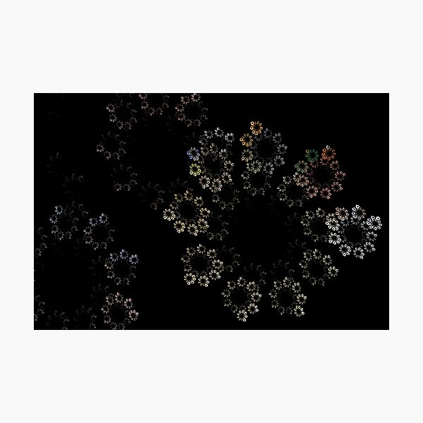 Daisy Chain Crowns Photographic Print