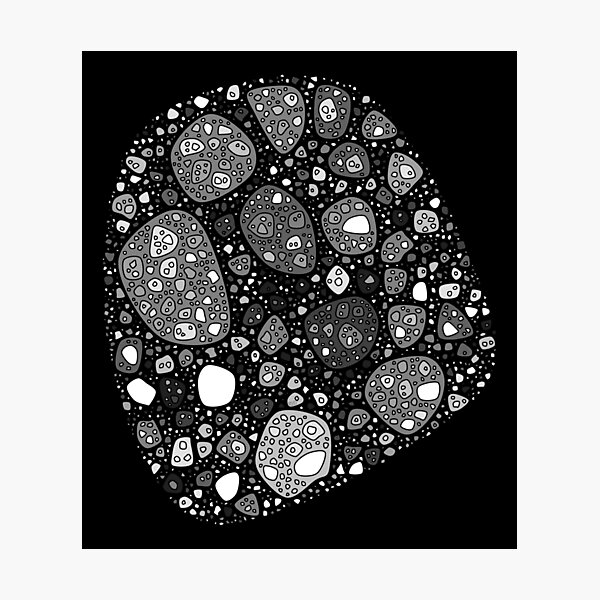 Abstract Fossil Photographic Print