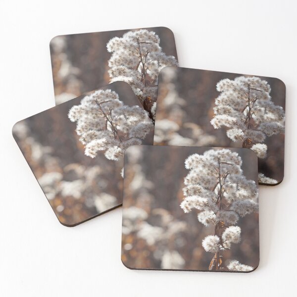 Item preview, november in wisconsin designed and sold by distracted.