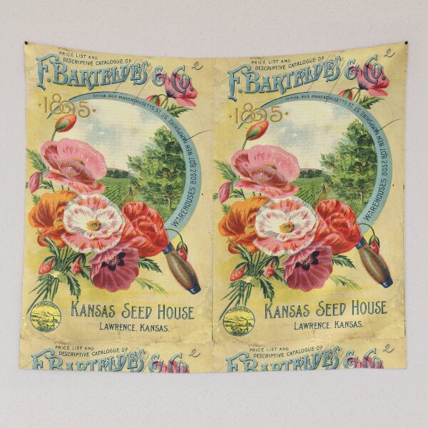 Item preview, Pansies - Barteldes & Co 1895 designed and sold by killies.