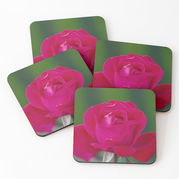 Item preview, Velvet Elegance: Embrace of the Midnight Rose designed and sold by DoodlingPrints.
