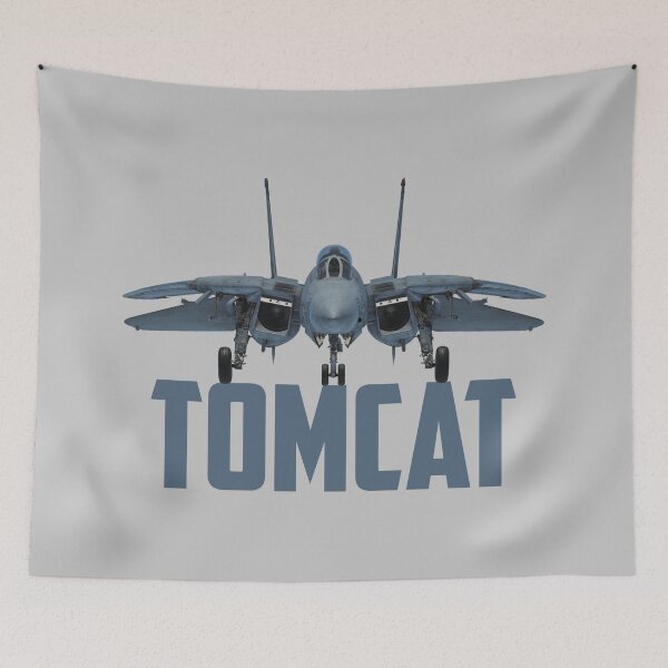 Item preview, F-14 Tomcat designed and sold by FlyNeX.