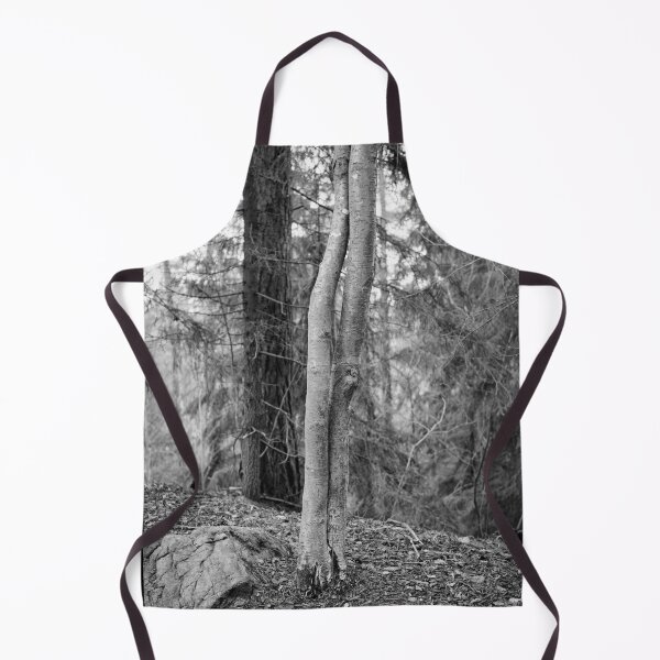 Item preview, Aspen twins at fall bw designed and sold by Jouko Lehto Photography.