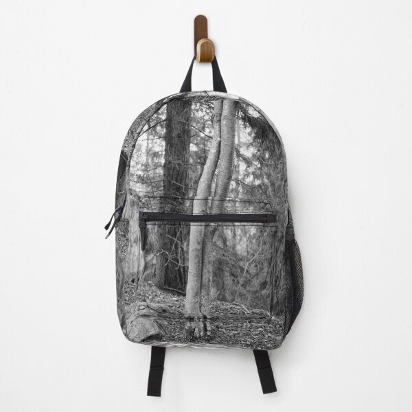 Item preview, Aspen twins at fall bw designed and sold by Jouko Lehto Photography.
