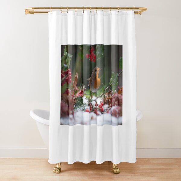 Robin Red Breast Shower Curtain