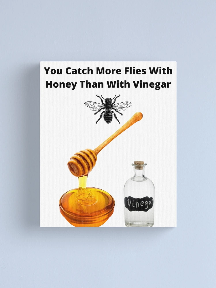 How to catch flies with deals honey