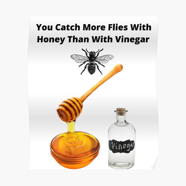 You Catch More Flies With Honey Than With Vinegar Poster By Musclecarts Redbubble