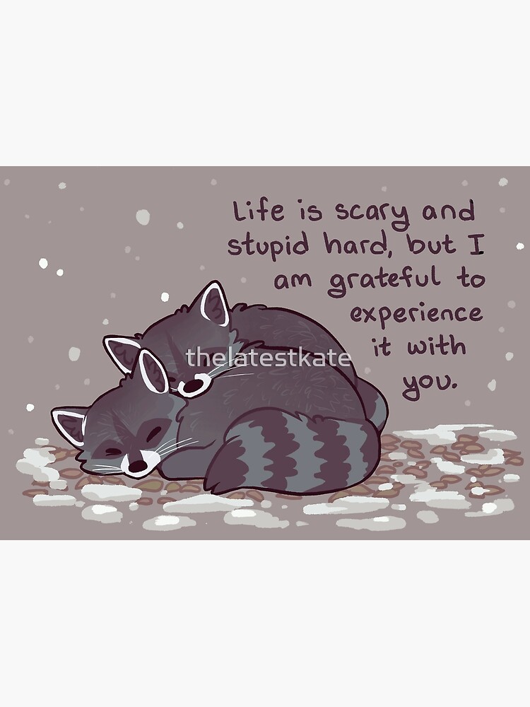 "I Am Grateful to Experience it With You" Snuggly Raccoons by thelatestkate