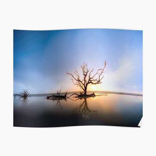 Driftwood Reflection Along the Waters Edge on Jekyll Island Beach Poster