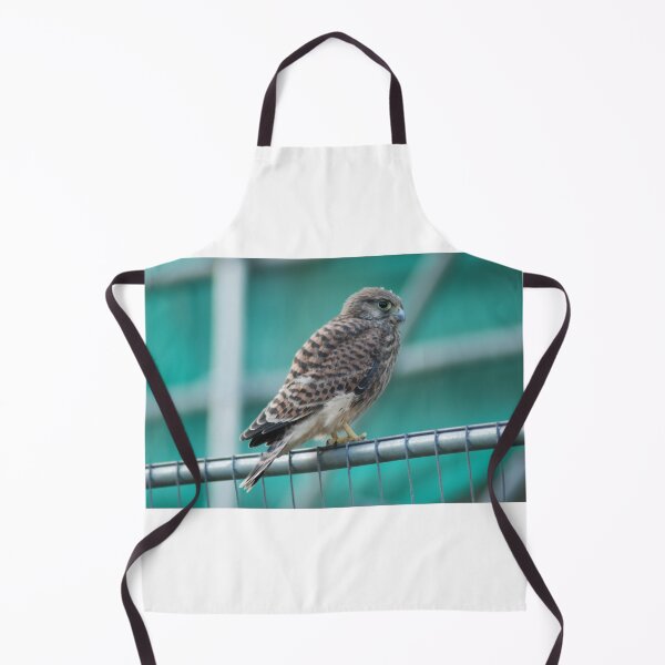 Item preview, Cautious Kestrel designed and sold by justbmac.