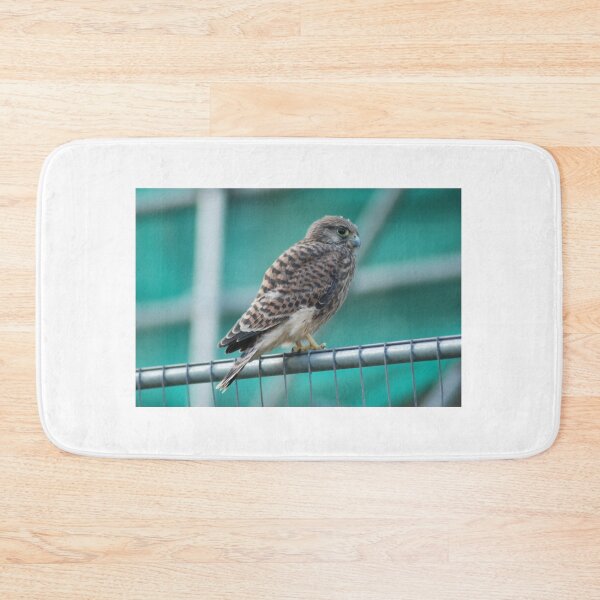 Item preview, Cautious Kestrel designed and sold by justbmac.