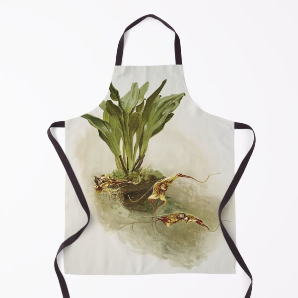 Item preview, Reichenbachia: Orchids Illustrated and Described designed and sold by EsotericBotanic.