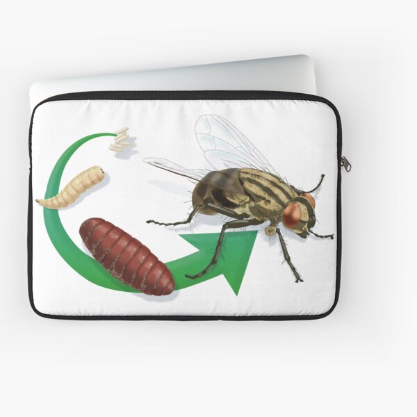 fly Laptop Sleeve