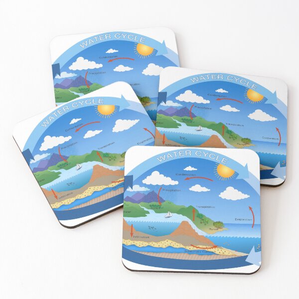 Item preview, Water Cycle, Environmental Science and Ecology designed and sold by ScienceSource.