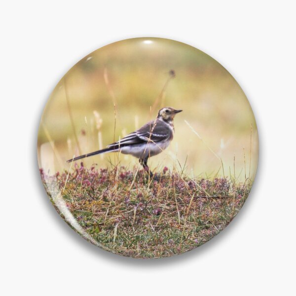 Item preview, Pied wagtail  designed and sold by Roy-Jacobs.