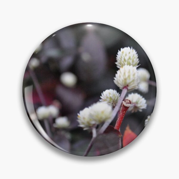 Item preview, Altemanthera 'Purple Knight' designed and sold by MarjorieB.
