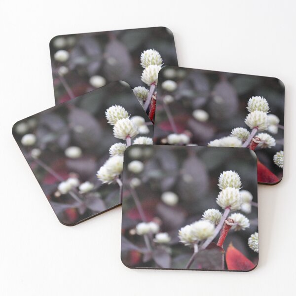Item preview, Altemanthera 'Purple Knight' designed and sold by MarjorieB.