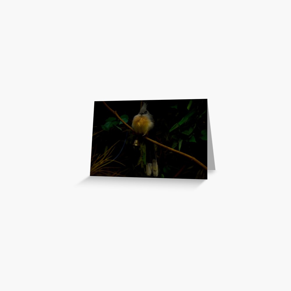 Angry Bird Greeting Card