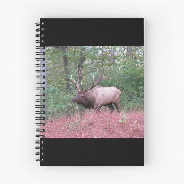 Item preview, Benezette Bull Elk  designed and sold by Broken Antler Designs .